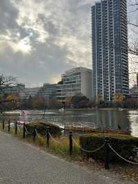 🏞️เดินเล่นชมใบไม้เปลี่ยนสีใน Ueno Park