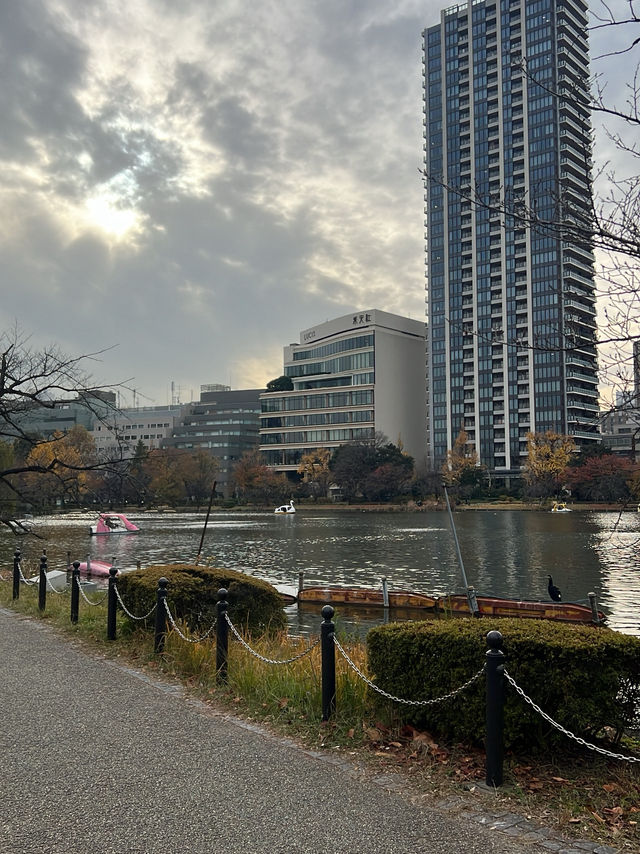 🏞️เดินเล่นชมใบไม้เปลี่ยนสีใน Ueno Park  🏞️เดินเล่นชมใบไม้เปลี่ยนสีใน Ueno Park
