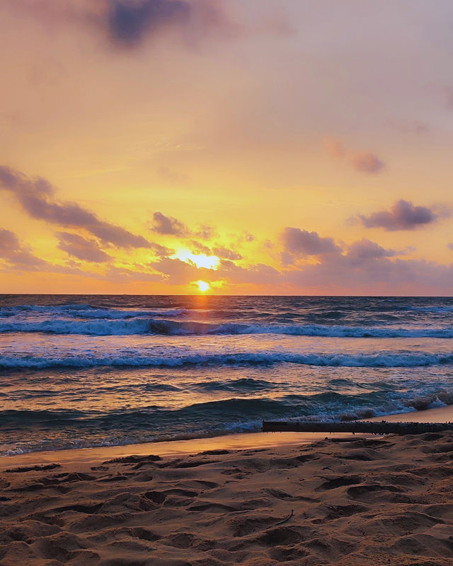 “Golden Moments by the Sea — Ocean Bay Resort, Phu Quoc” “Golden Moments by the Sea — Ocean Bay Resort, Phu Quoc”