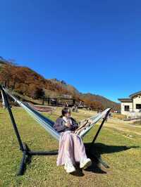 【群馬】今行くべき!!奇跡の絶景