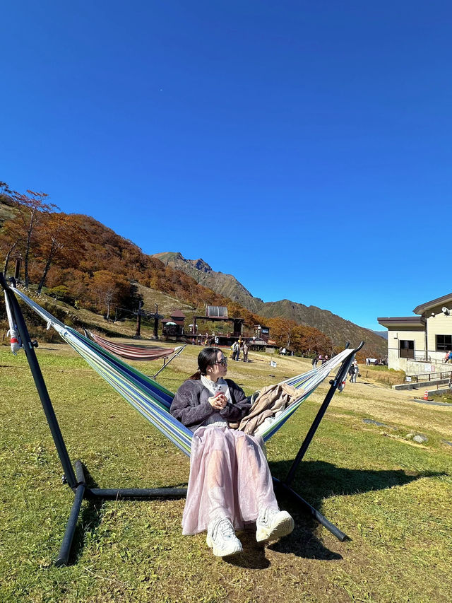 【群馬】今行くべき!!奇跡の絶景