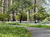 Winterthur Museum, Garden & Library