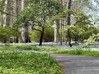 溫特圖爾博物館、花園和圖書館