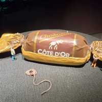 Chocolate Nation: The Belgian Chocolate Experience