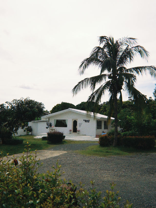 ☕️ Чианграй — где пить кофе? ☕️ Чианграй — где пить кофе?