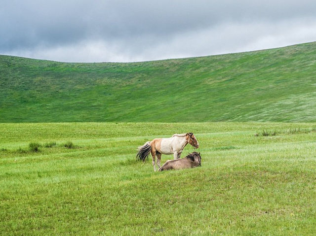 Hustai National Park - Fantastic animal viewing.