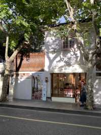 Shanghai Night Magic✨