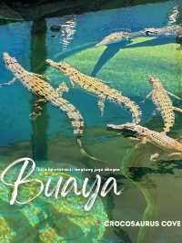 Ternyata begini jelajah kota DARWIN✈️