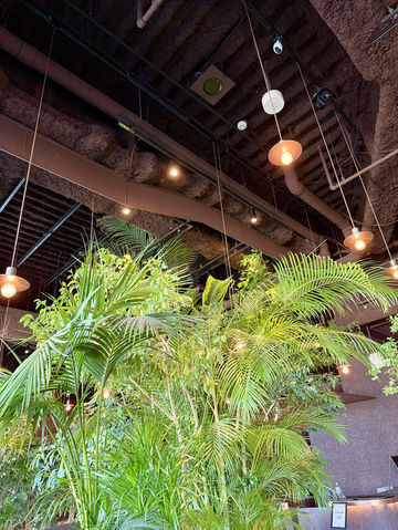 A Stylish Coffee Break at Uni, Omotesando A Stylish Coffee Break at Uni, Omotesando