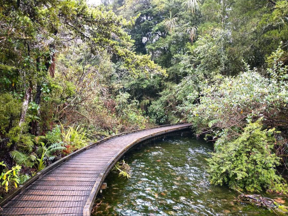 A Clear and Peaceful Encounter With New Zealands Natural Magic