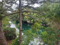 민물과 바다가 만나는 곳! 📍쇠소깍