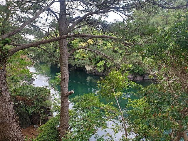 민물과 바다가 만나는 곳! 📍쇠소깍 민물과 바다가 만나는 곳! 📍쇠소깍