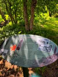 🌿 Reader Rock Garden – Calgary’s Historic Hillside Oasis