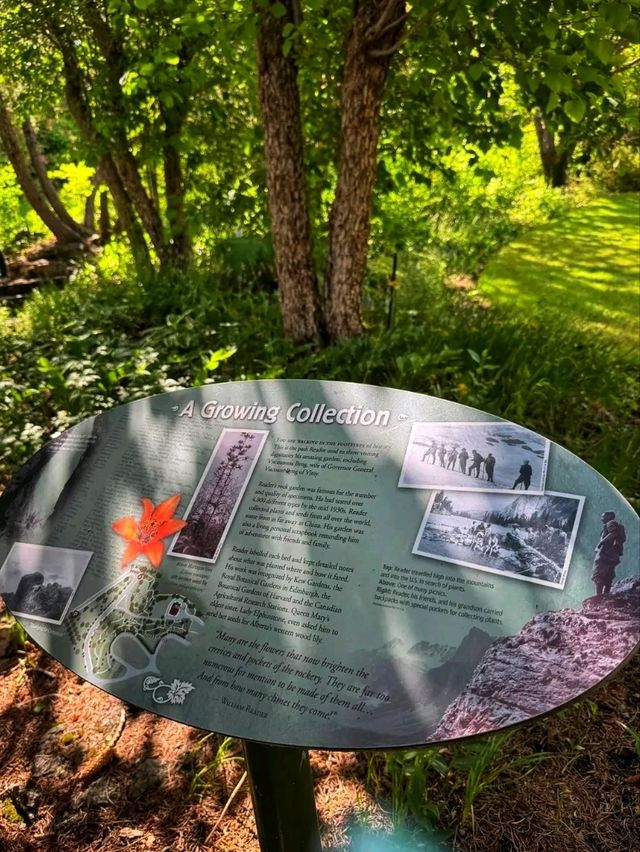 🌿 Reader Rock Garden – Calgary’s Historic Hillside Oasis