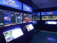 農業科技園區觀賞水族展示廳