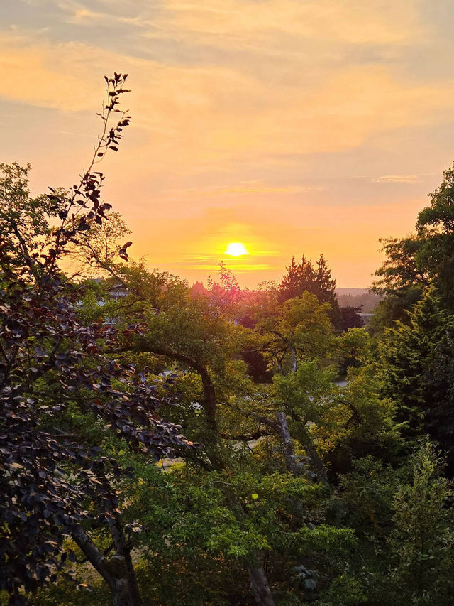 Queen Elizabeth Park Queen Elizabeth Park