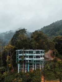 " ป่าเหนือหมอก ม่อนเงาะ Pa Nua Mok " 