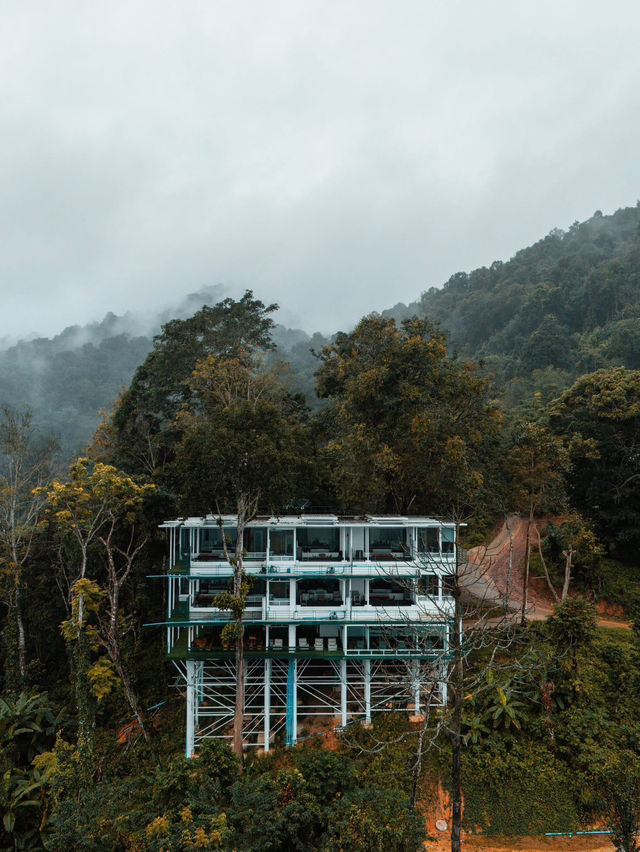 " ป่าเหนือหมอก ม่อนเงาะ Pa Nua Mok " 