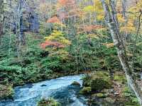 跟著松尾芭蕉的足跡～東北奧之細道賞楓