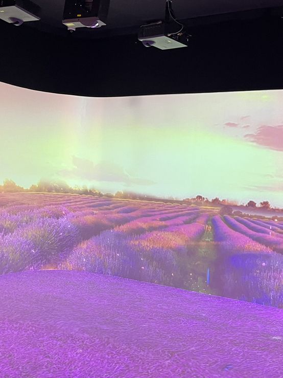 Museum Wayang Museum Wayang