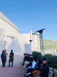 Mountain Market Vibes🌄