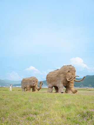 愛媛県の必見体験