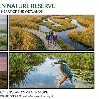 National Trust - Wicken Fen Nature Reserve