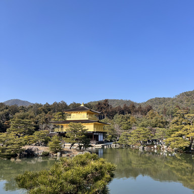 金色に輝く金閣寺。 | Trip.com 京都