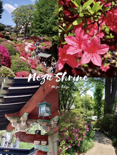 根津神社と記憶に刻まれるつつじ苑。 | Trip.com 東京