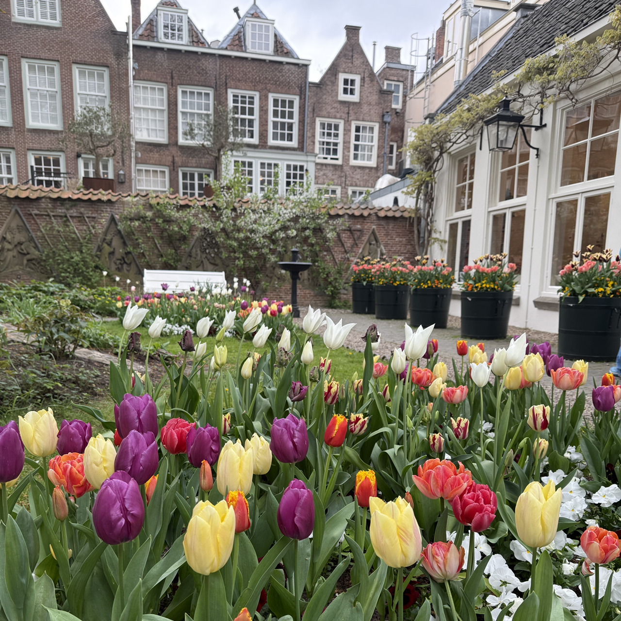 Just spent a super cozy weekend in Utrecht and trust me, this Dutch gem delivers — canalside dining, moody skies, and *that* epic cheese market magic 🧀🌧️. Utrecht is all about unique water vibes, lush spots, and tasty surprises every corner you turn.

Must-See Places You Can’t Miss:
1. Flora's Garden (Domplein 0) — Chill out surrounded by tulips and fountains, a top spot for rainy day snaps.
2. Stadswandeling Utrecht (Maartensbrug 3511) — Take a self-guided city walk any time, perfect for discovering Utrecht’s mix of Western and even a dab of Chinese-style architecture.
3. The Canals Area — Grab a mini boat or kayak here! Floating along the Oudegracht with locals dining riverside is a total vibe.
4. Stadhuis/Stadhuisbrug 1 — Drop by during open hours for history and cool city views. Closed on weekends, so plan ahead!
5. Dom Tower (Domplein 9) — Climb the tallest church tower in the Netherlands for panoramic Utrecht scenes. Open daily 10:00–17:00.
6. Museum Speelklok — Musical clocks galore; quirky, joyful, and truly unique.
7. The Goose Market — Make sure to stock up on cheese varieties and grab fresh, crispy deep-fried Kipling (treat yo’self!).
8. Silk Road Utrecht — Dive into multicultural eats, from spicy Asian plates to fusion pastries.
9. Schuttevaer Boat Cruise — See Utrecht’s heartbeat from the water, rain or shine.
10. St Martin's Cathedral — Gothic grandeur, just steps from the Dom Tower.

Travel & Food Tips:
Utrecht is compact, walkable, and sprinkled with cozy cafés and hidden restaurants. Must-try: Stroopwafels fresh off the griddle at the weekend market! If you love water, renting a kayak or mini boat gives you a totally different view of the city.

#UtrechtVibes #CheeseLovers #DutchWeekend #UtrechtCanals #MarketEats