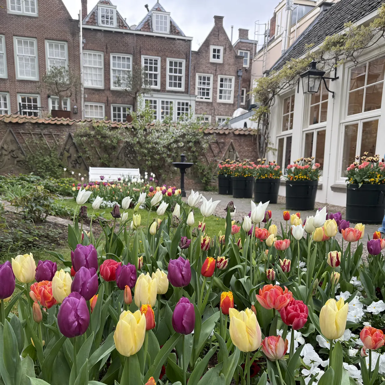 Just spent a super cozy weekend in Utrecht and trust me, this Dutch gem delivers — canalside dining, moody skies, and *that* epic cheese market magic 🧀🌧️. Utrecht is all about unique water vibes, lush spots, and tasty surprises every corner you turn.

Must-See Places You Can’t Miss:
1. Flora's Garden (Domplein 0) — Chill out surrounded by tulips and fountains, a top spot for rainy day snaps.
2. Stadswandeling Utrecht (Maartensbrug 3511) — Take a self-guided city walk any time, perfect for discovering Utrecht’s mix of Western and even a dab of Chinese-style architecture.
3. The Canals Area — Grab a mini boat or kayak here! Floating along the Oudegracht with locals dining riverside is a total vibe.
4. Stadhuis/Stadhuisbrug 1 — Drop by during open hours for history and cool city views. Closed on weekends, so plan ahead!
5. Dom Tower (Domplein 9) — Climb the tallest church tower in the Netherlands for panoramic Utrecht scenes. Open daily 10:00–17:00.
6. Museum Speelklok — Musical clocks galore; quirky, joyful, and truly unique.
7. The Goose Market — Make sure to stock up on cheese varieties and grab fresh, crispy deep-fried Kipling (treat yo’self!).
8. Silk Road Utrecht — Dive into multicultural eats, from spicy Asian plates to fusion pastries.
9. Schuttevaer Boat Cruise — See Utrecht’s heartbeat from the water, rain or shine.
10. St Martin's Cathedral — Gothic grandeur, just steps from the Dom Tower.

Travel & Food Tips:
Utrecht is compact, walkable, and sprinkled with cozy cafés and hidden restaurants. Must-try: Stroopwafels fresh off the griddle at the weekend market! If you love water, renting a kayak or mini boat gives you a totally different view of the city.

#UtrechtVibes #CheeseLovers #DutchWeekend #UtrechtCanals #MarketEats