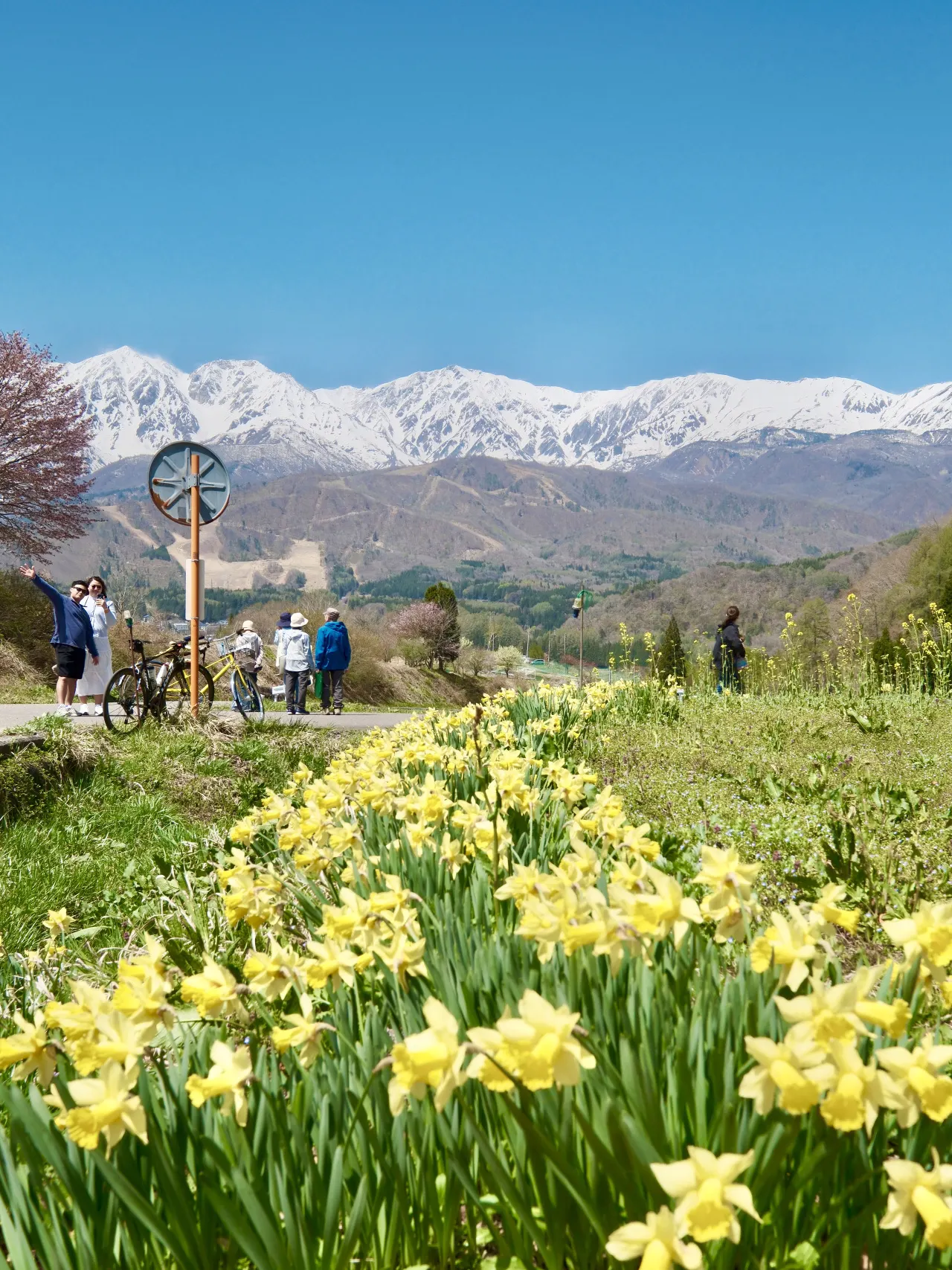 Hakuba is Breathtakingly Beautiful Like a Dreamy Painting.