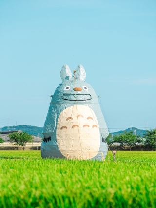 🌾 A Hidden Totoro Moment in Aichi’s Rice Fields