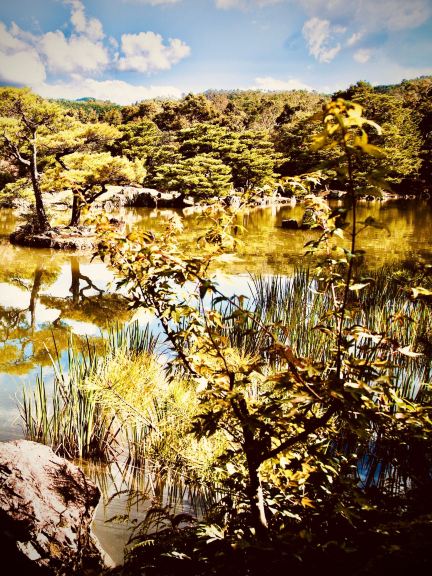 Kanagawa's Hakone-Yumoto Old Cedar Avenue Walk | Trip.com Hakone