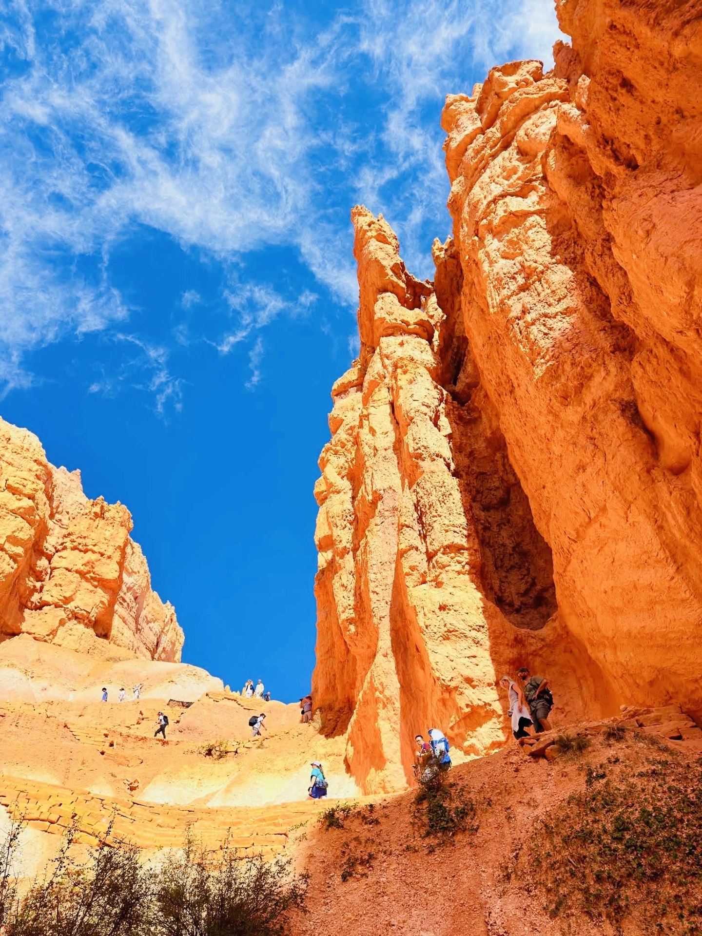 🇺🇸 Bryce Canyon National Park | A Forest of Stone 🧡🏜️