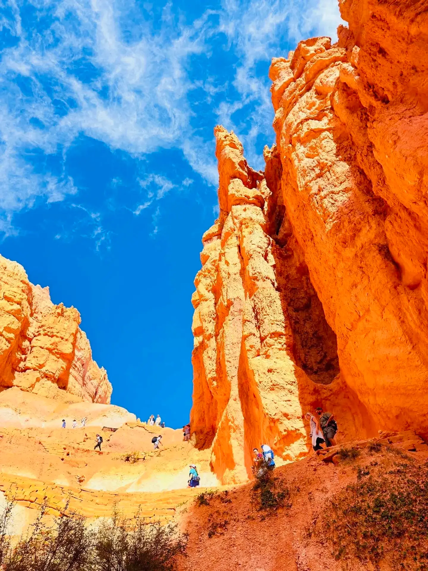 🇺🇸 Bryce Canyon National Park | A Forest of Stone 🧡🏜️