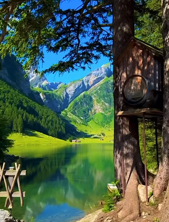 🇨🇭 Summer in Switzerland: The Ultimate Alpine Escape 🏔️✨

Looking for that classic Swiss summer picture-perfect moment? Endless green valleys, crisp alpine air, glass-like lakes, and peaks that literally take your breath away—Switzerland in the summer hits different. 🏔️💚

If you’re planning your ultimate summer getaway to slow down, recharge, and create unforgettable memories, here are the top spots you can’t miss:

Must-Visit Summer Spots
· Interlaken & Lauterbrunnen: The heart of the Swiss Alps, surrounded by 72 roaring waterfalls and dramatic cliffside views.
· Lake Geneva & Montreux: Stroll along flower-lined promenades, visit historic castles, and enjoy idyllic lakeside views.
· Zermatt: Get up close with the iconic Matterhorn, hike scenic alpine trails, and ride the Gornergrat Bahn.
· Lake Lucerne: Perfect for scenic boat cruises surrounded by historic towns and dramatic mountain backdrops.
Essential Travel Tips
· Get a Swiss Travel Pass: The easiest, most seamless way to travel by train, bus, and boat across the entire country.
· Pack in Layers: Summer days are warm and pleasant, but high-altitude mountain peaks get chilly quickly!

Ready to turn these travel dreams into reality? 🎒✈️

#Tripcom #Switzerland #SummerInSwitzerland #SwissAlps #BeautifulDestinationss #NatureLovers #TravelMemories #ExploreSwitzerland #TravelInspiration
