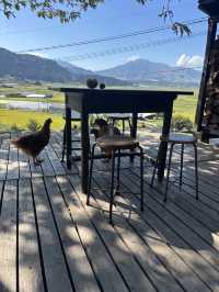 【熊本県・阿蘇】     陶器と珈琲が彩る、阿蘇の隠れ家cafe