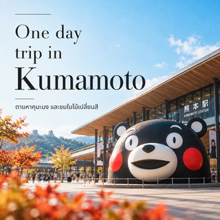 🐻 พาไปตามหาคุมะมง และใบไม้เปลี่ยนสีที่คุมาโมโต้ แบบ one day trip 🍁