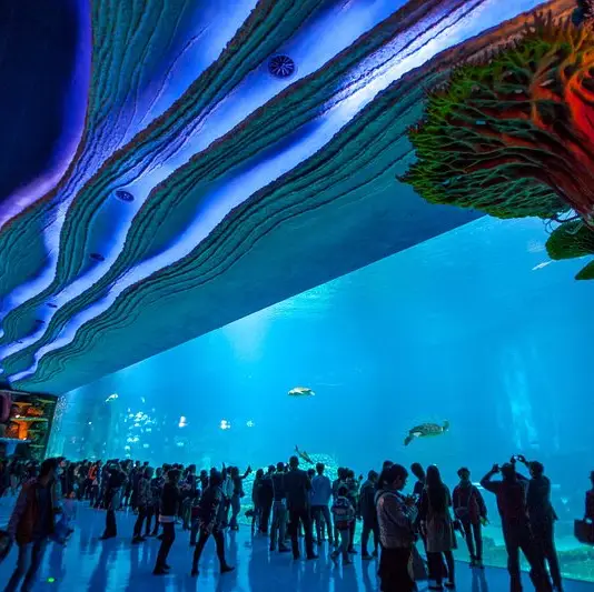  🐋 WHAT AN AMAZING AQUARIUM 🌊