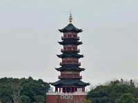 Longevity pagoda 