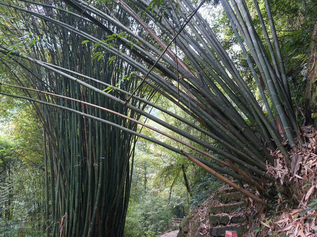 单人徒步赤水佛光岩、大瀑布景区