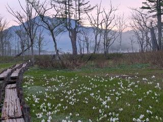 Oze National Park (尾瀬国立公園) – Gunma/Fukushima