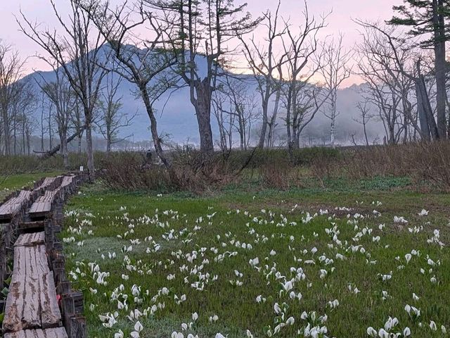 Oze National Park (尾瀬国立公園) – Gunma/Fukushima
