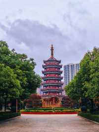 鶴鳴洲綠意散步好去處🌳