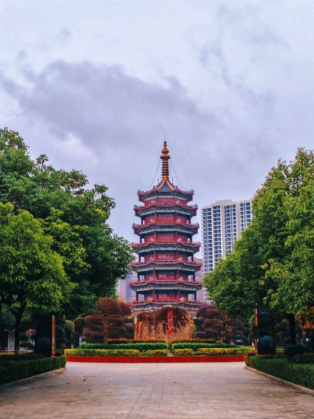 鶴鳴洲綠意散步好去處🌳 鶴鳴洲綠意散步好去處🌳