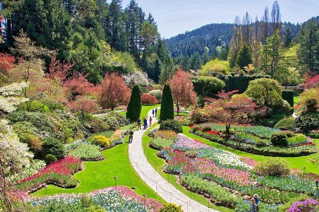 Vancouver: Coastal Harmony 🏞️🏙️