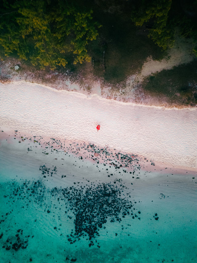 Awarded the Best Beach in Mauritius 🏝️