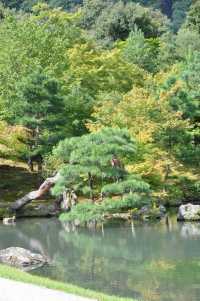 Autumn Splendor in Kyoto