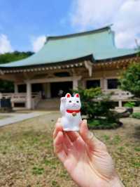 ⛩️豪德寺🐱藏有大量招財貓雕像的佛寺